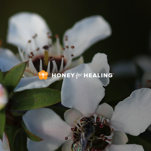 Honey For Healing