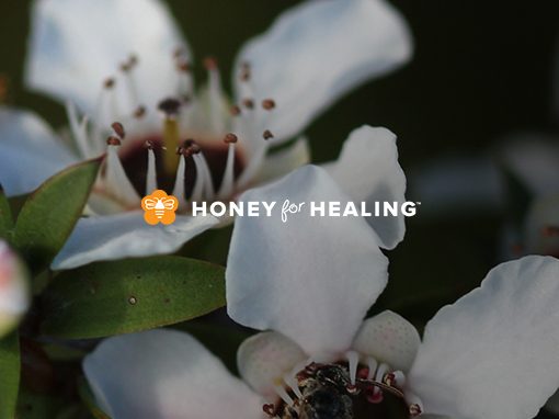 Honey For Healing